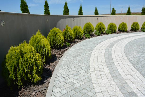 Reasons to Select Us for Your Driveway Paving Requirements in Granite Bay, CA